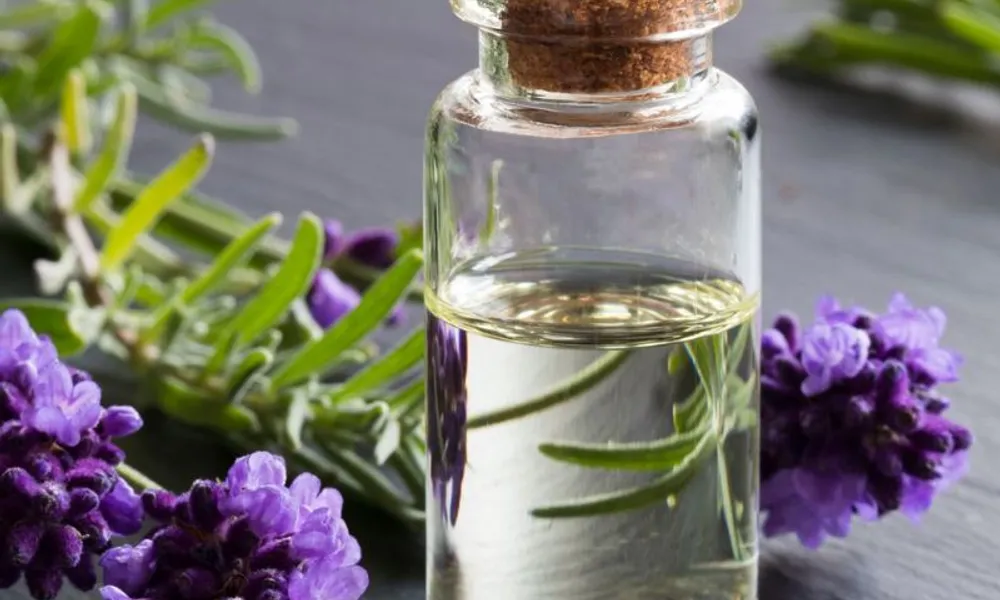 Lavender Oil